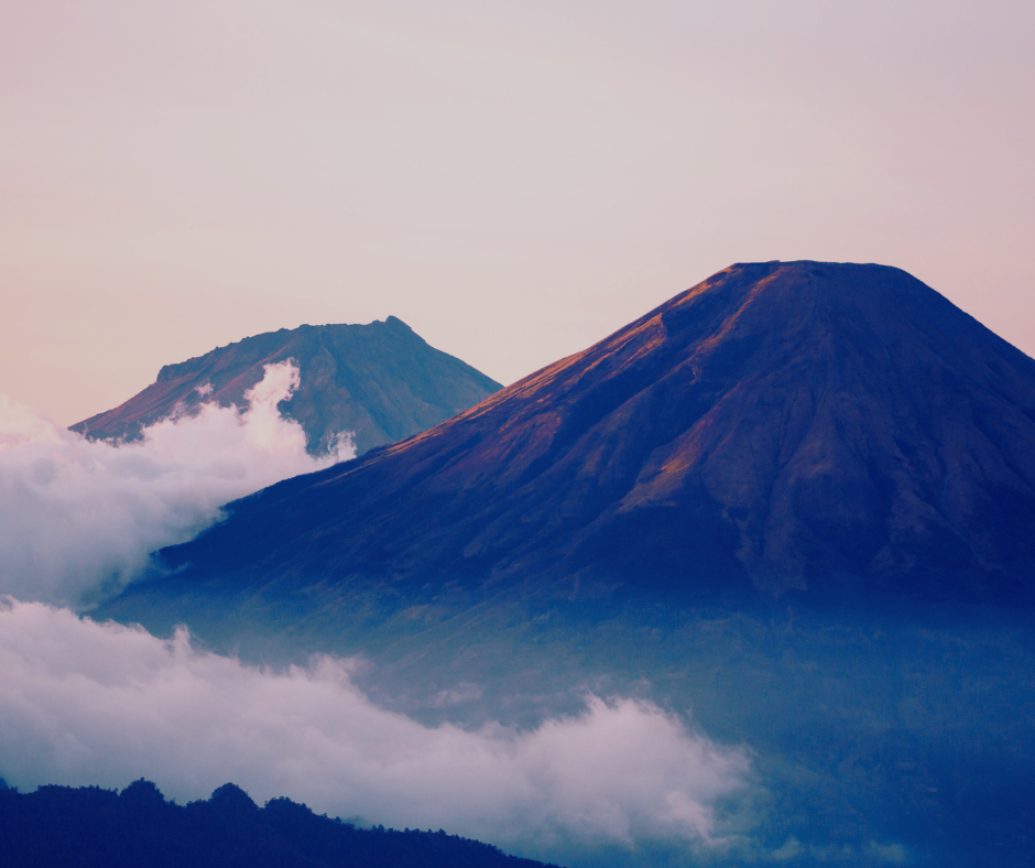 Web Graphic Fillers (1)